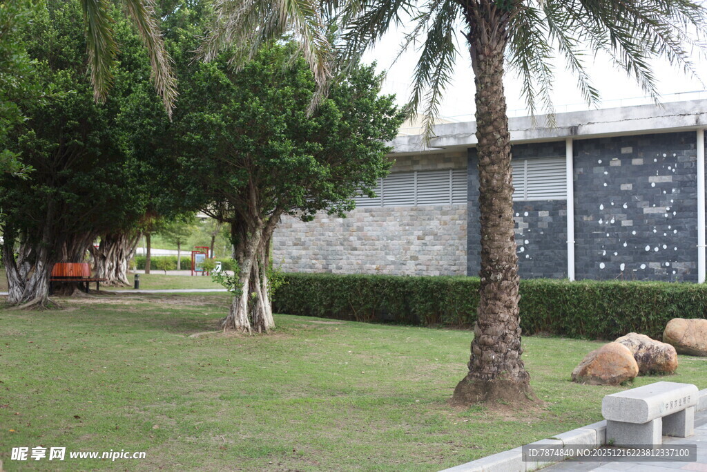 户外草坪旁的树木与石景