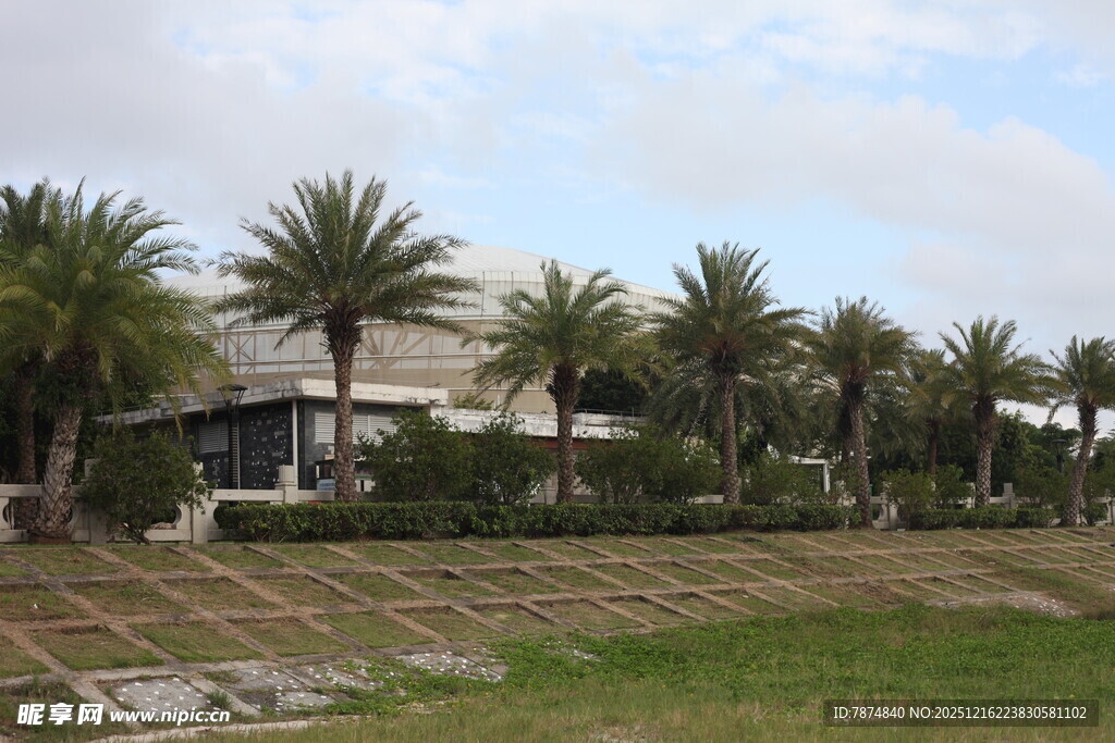 棕榈树环绕的建筑景观
