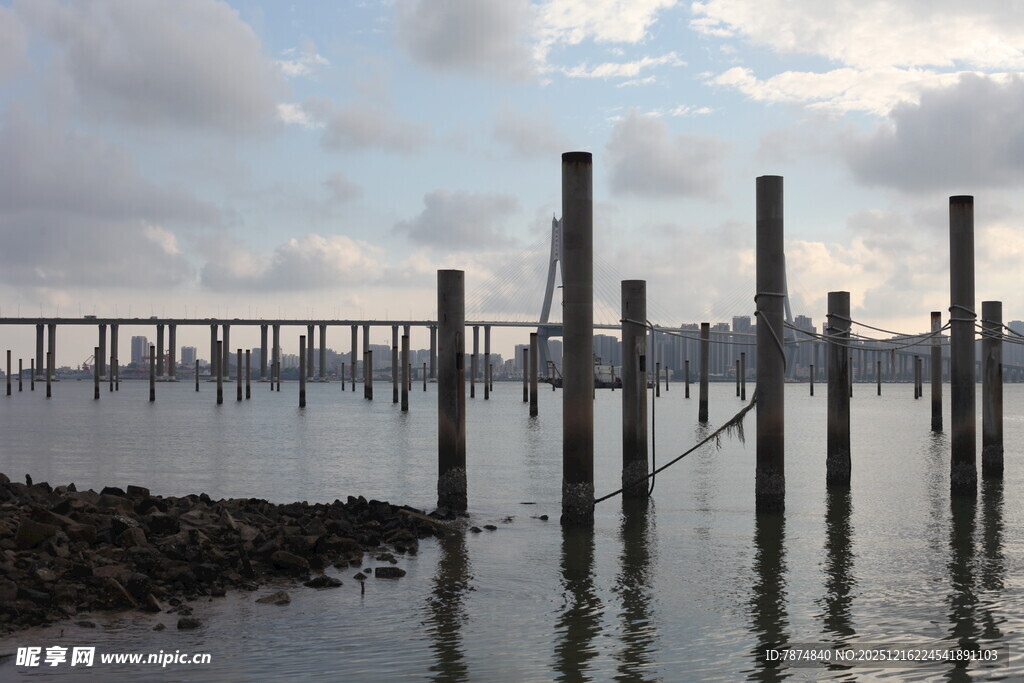 海边林立的木桩与远处桥梁