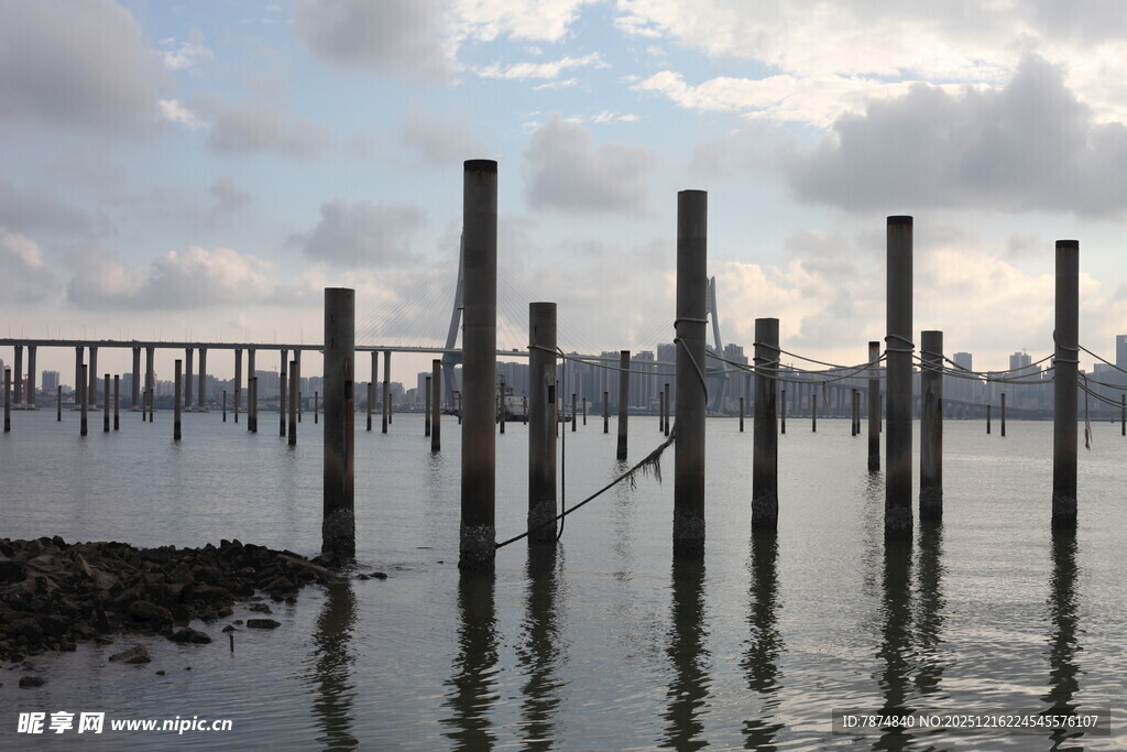 水边林立木桩与远处桥梁