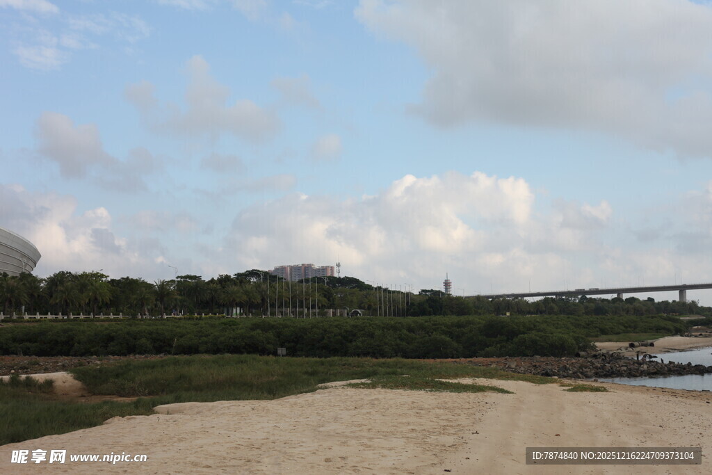 远处桥梁与绿树