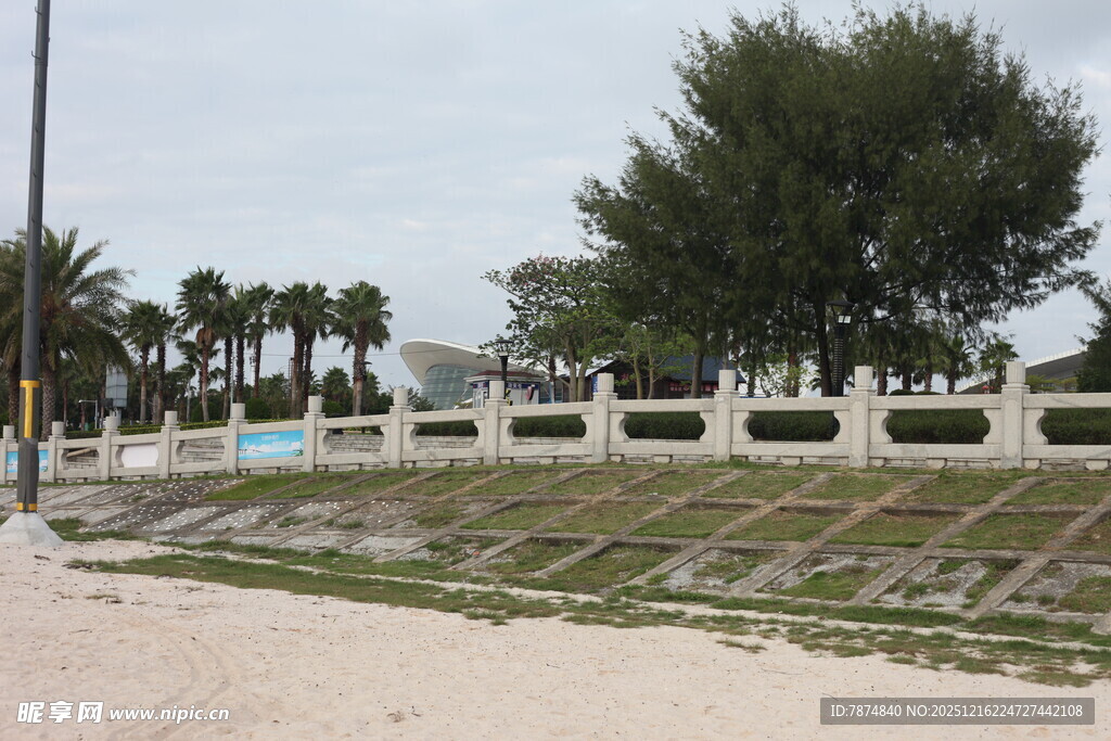 海滨围栏旁的绿树景观