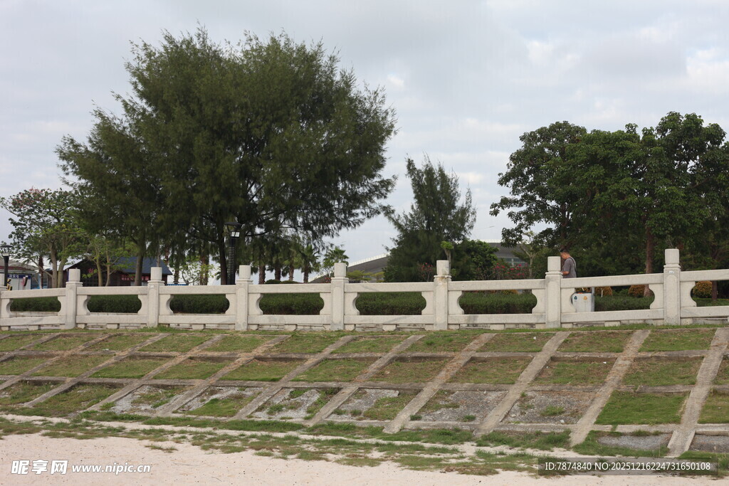 白色护栏旁的绿树与草地