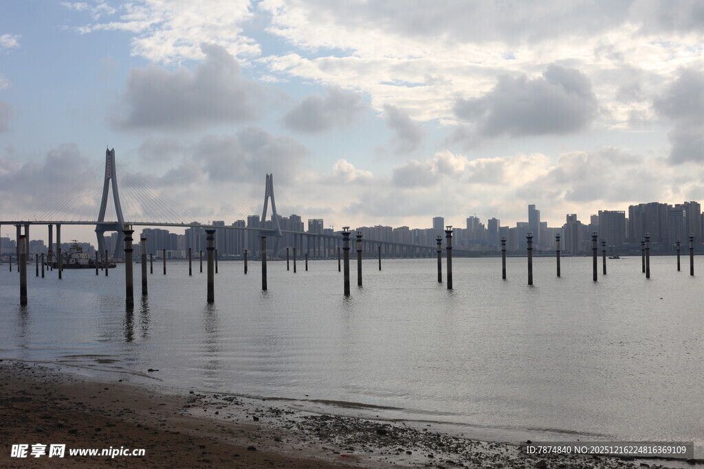 江边大桥与城市天际线