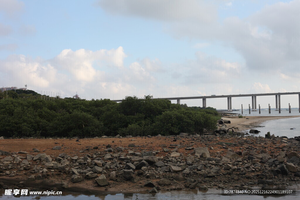 江边风景与远处桥梁景观