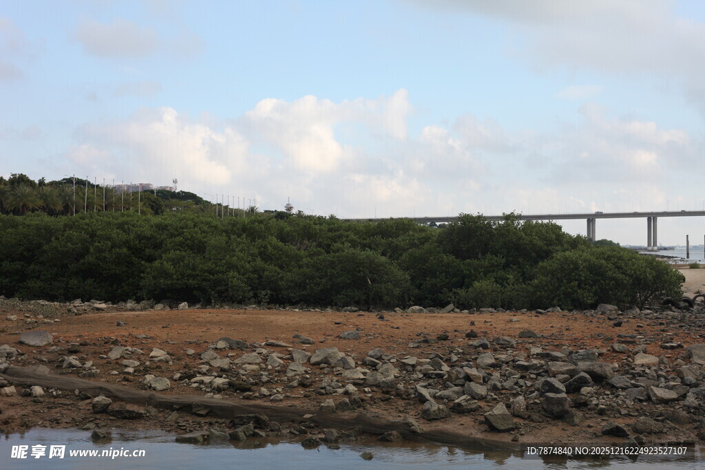 河畔风景与远处桥梁