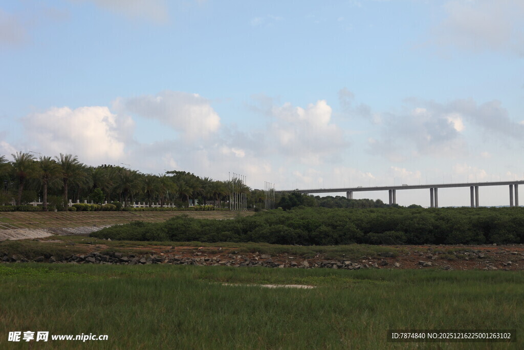 田野上的桥梁远景