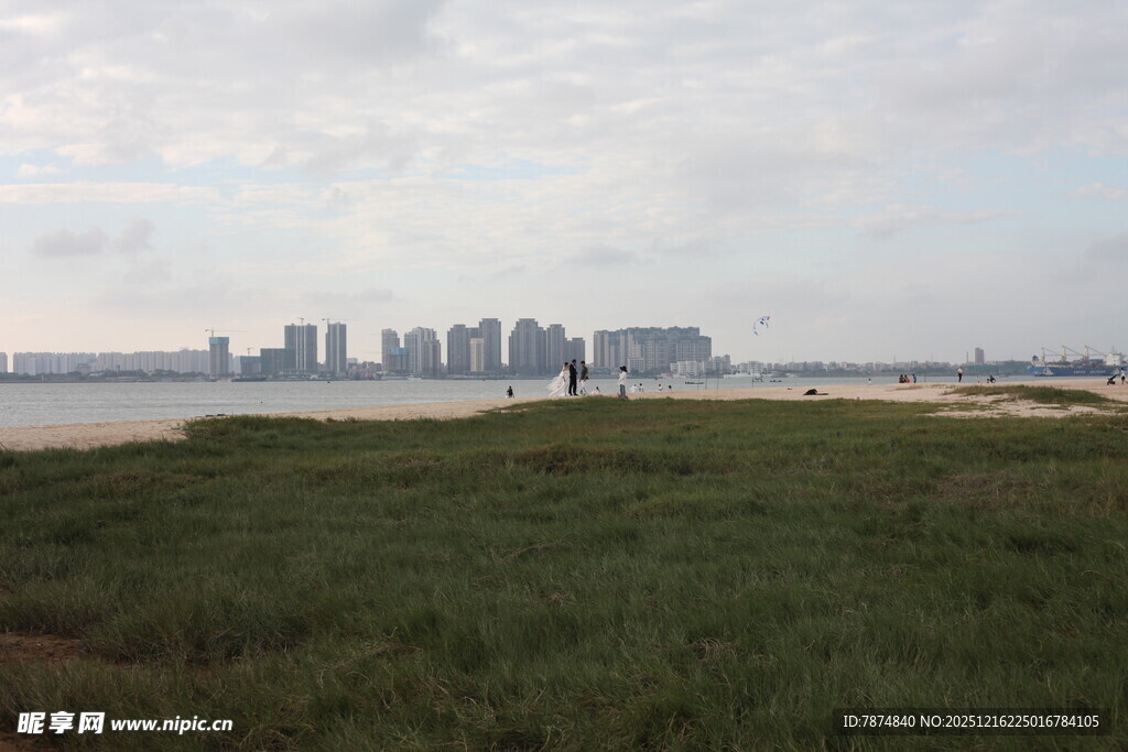 海滨草地远眺城市天际线