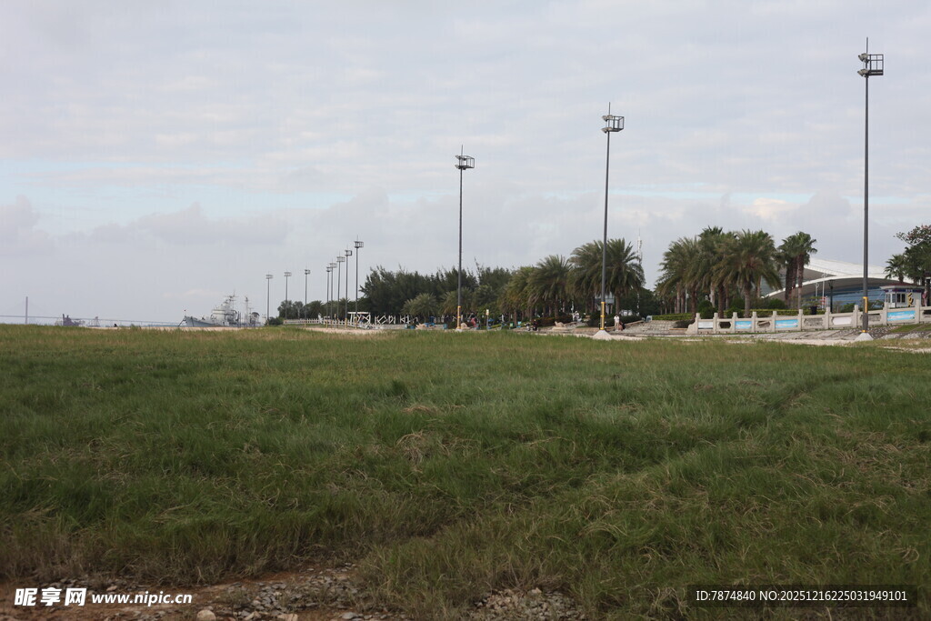 开阔草地旁的户外场景