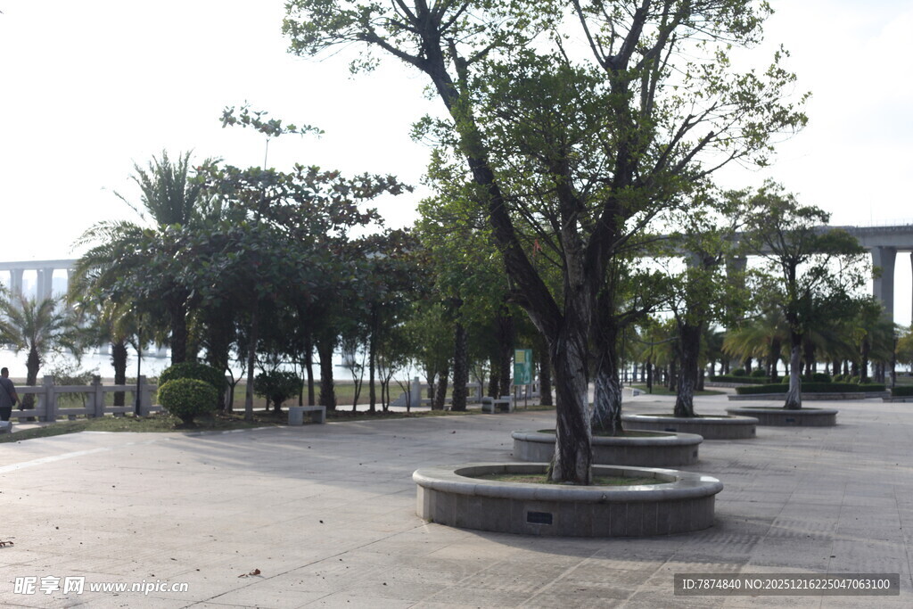 城市公园中的休闲林荫广场