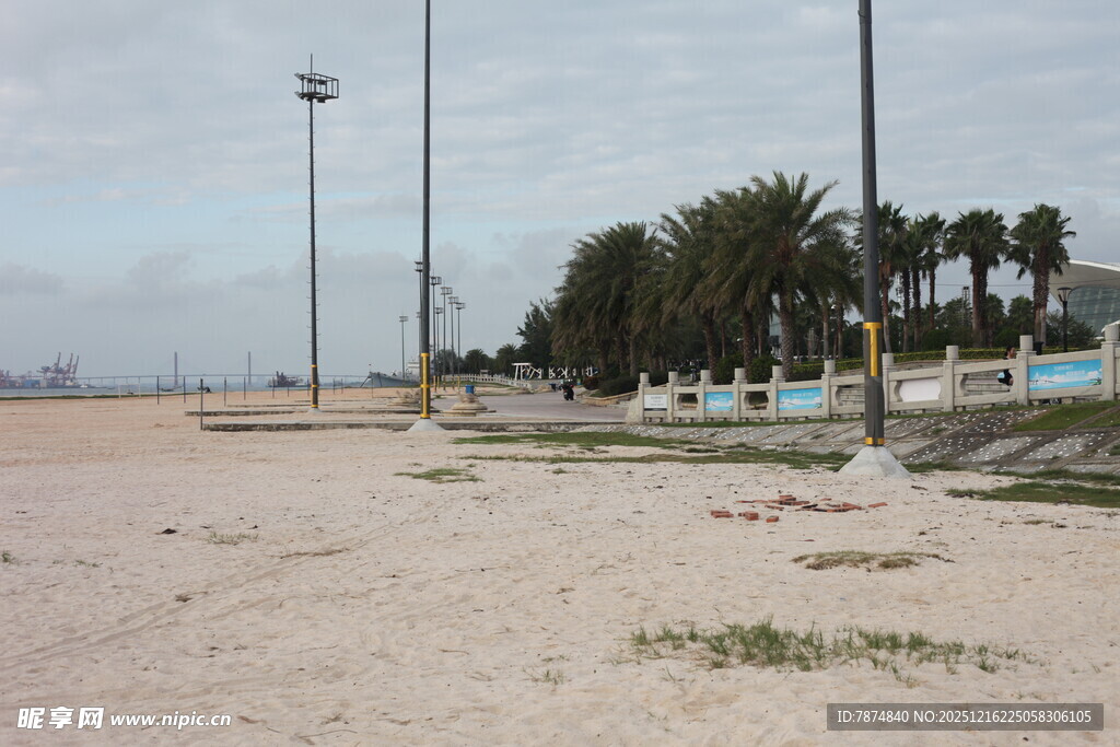 空旷沙滩与远处棕榈树