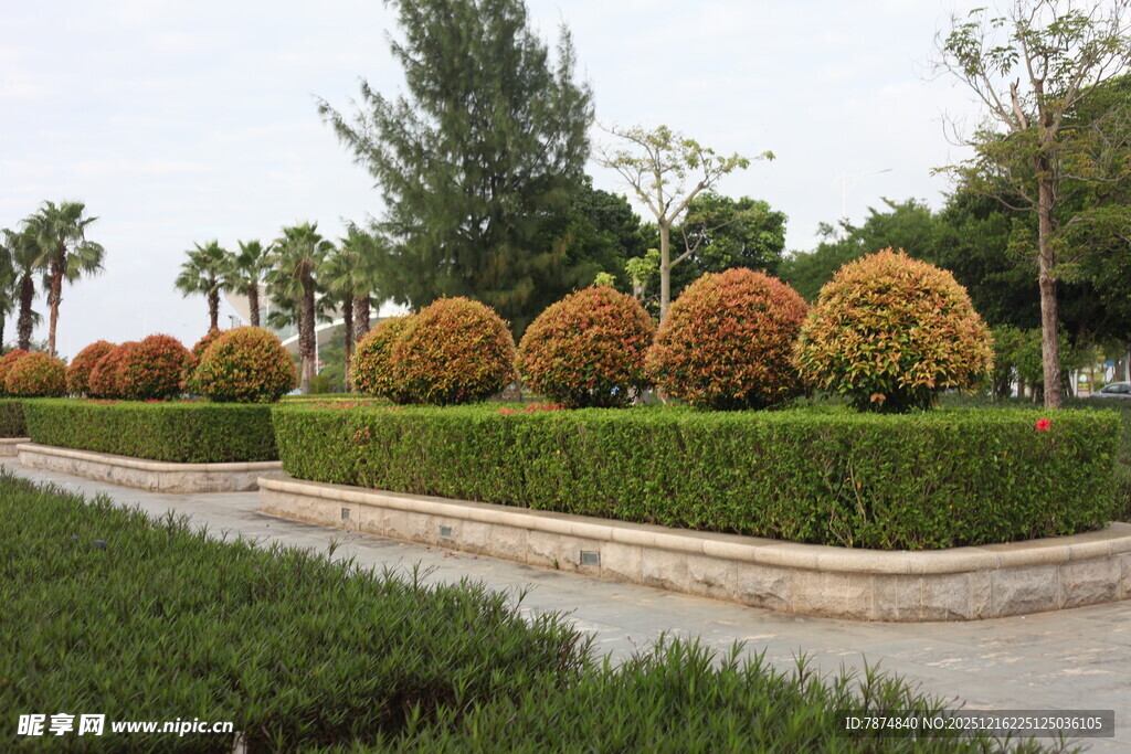 精致园林景观绿植造型