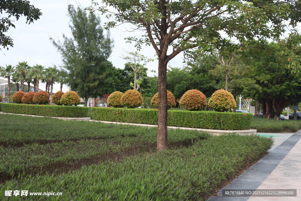 城市公园绿意盎然景观