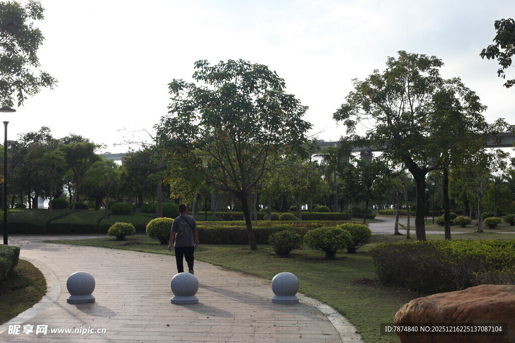 公园中的宁静步道景观
