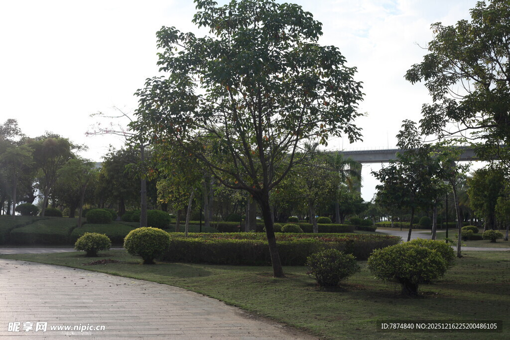 城市中的静谧绿化景观