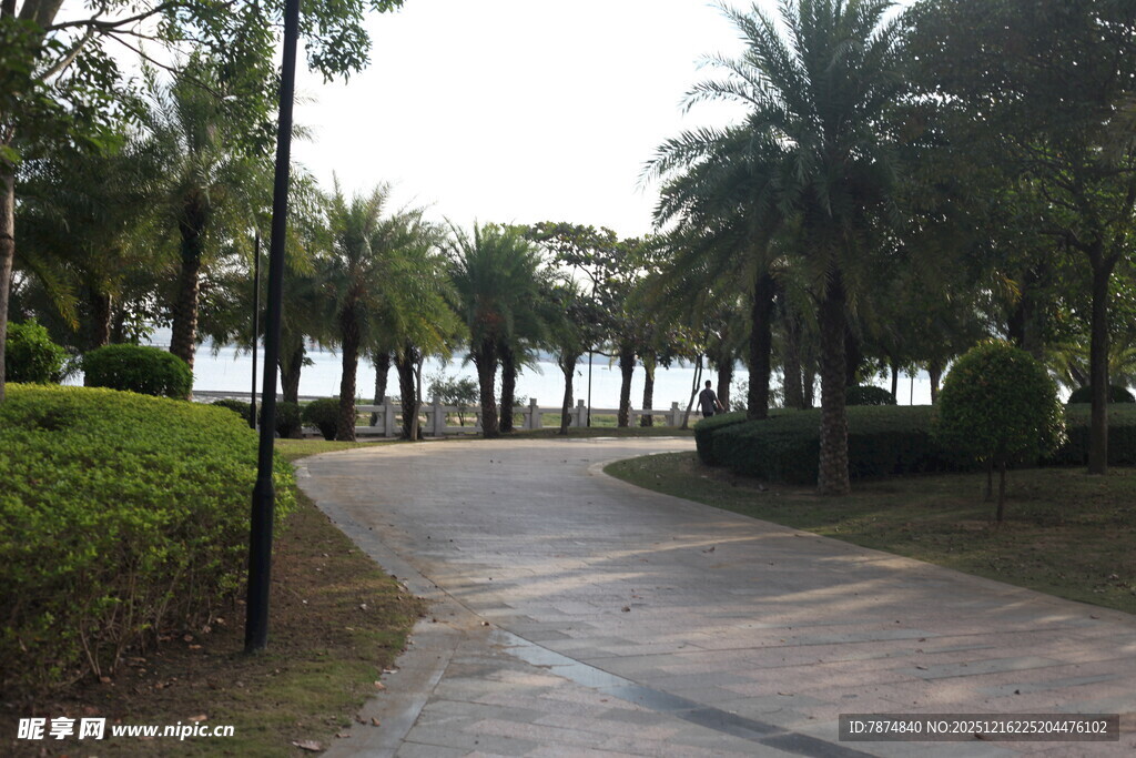 海滨林荫步道景观