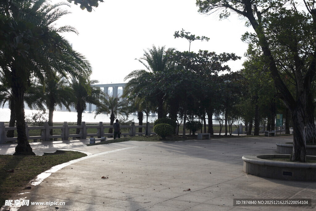 海滨林荫步道风景