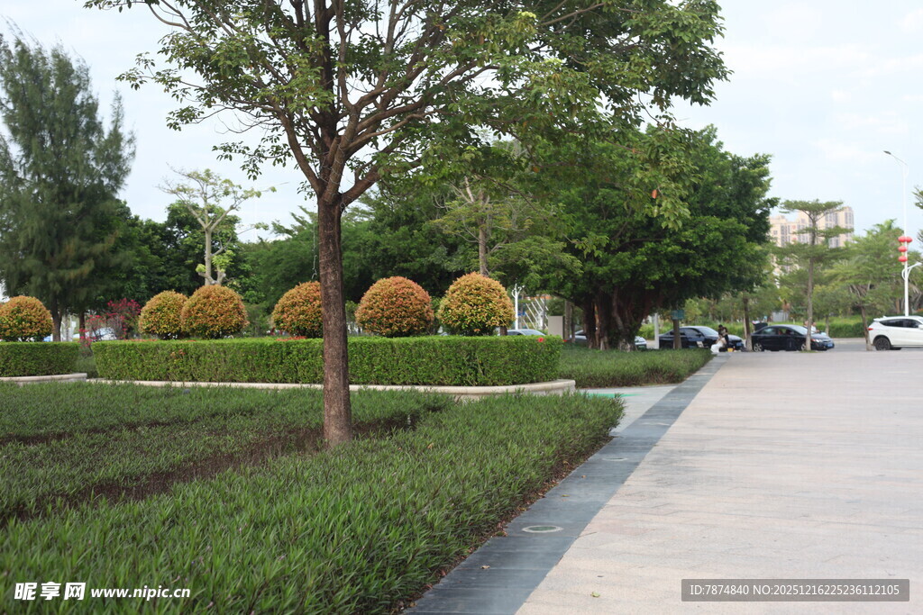城市街边的绿化景观
