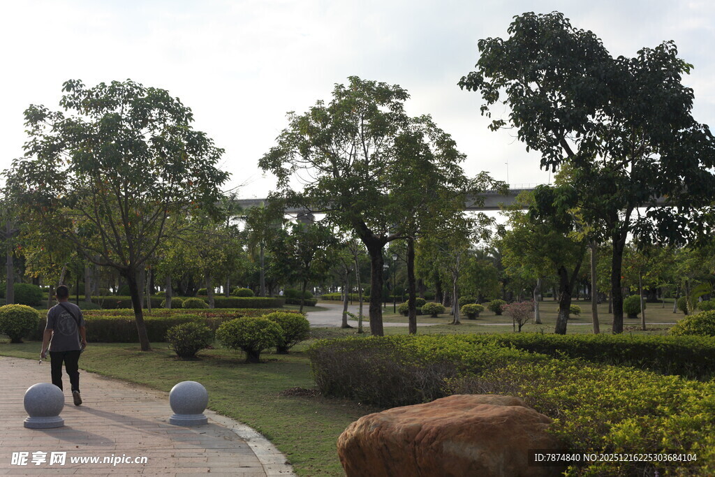 公园中的休闲景致