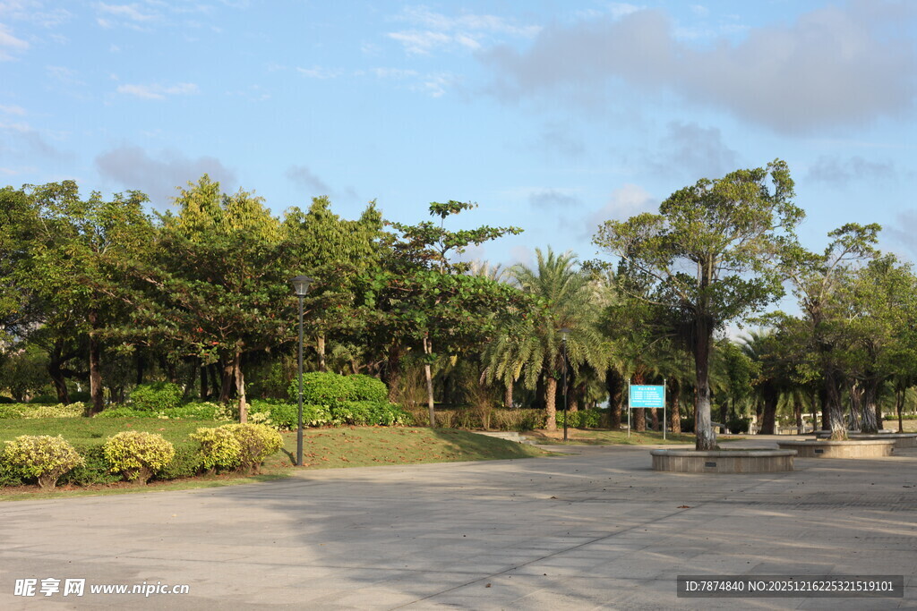 户外开阔绿地与树木景观