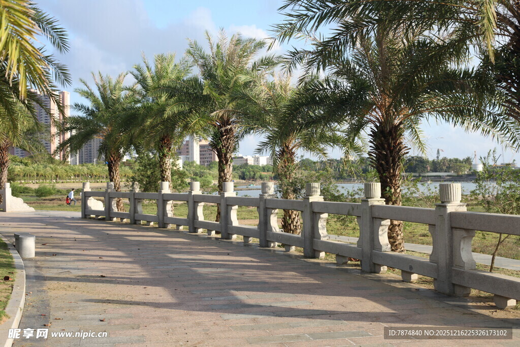 海滨棕榈小道风景