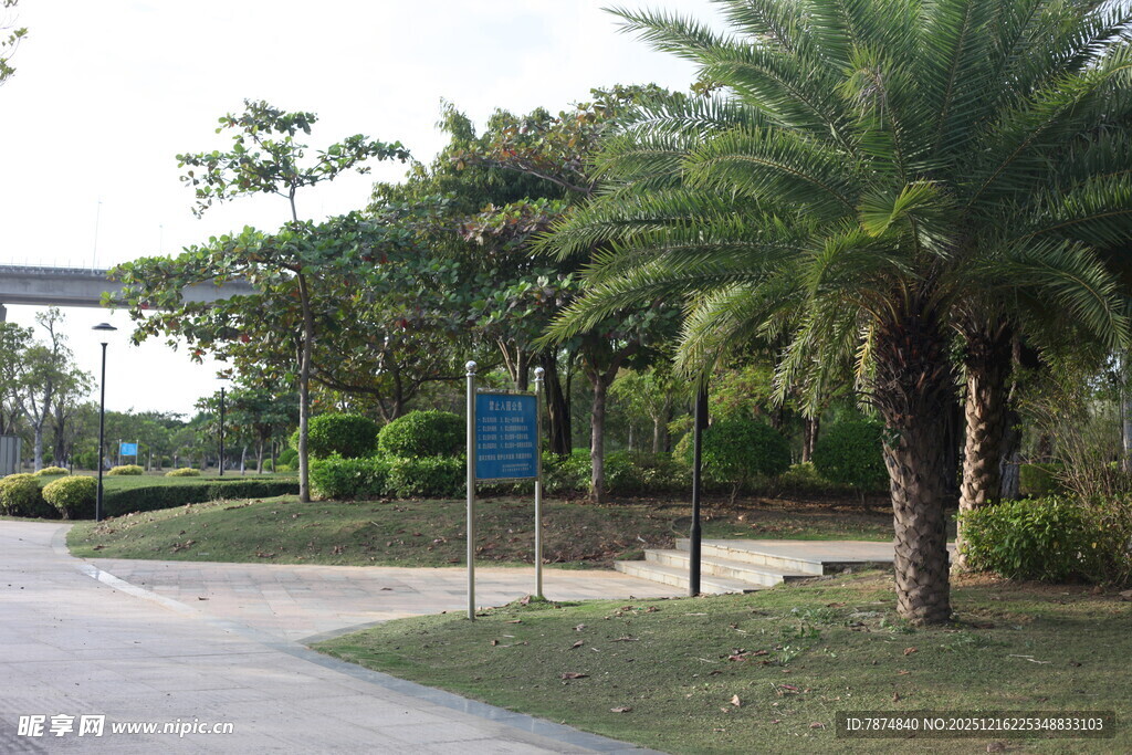 户外道路旁的绿植景观