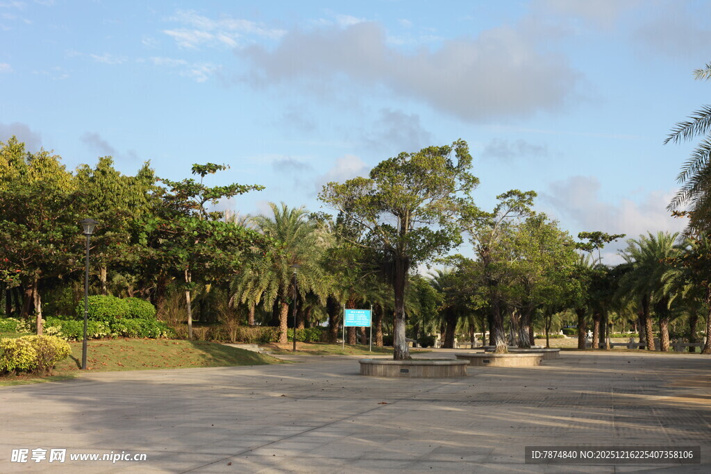 城市公园的开阔道路景观