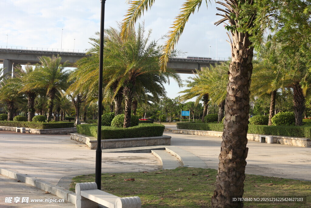 城市公园中的绿植与步道