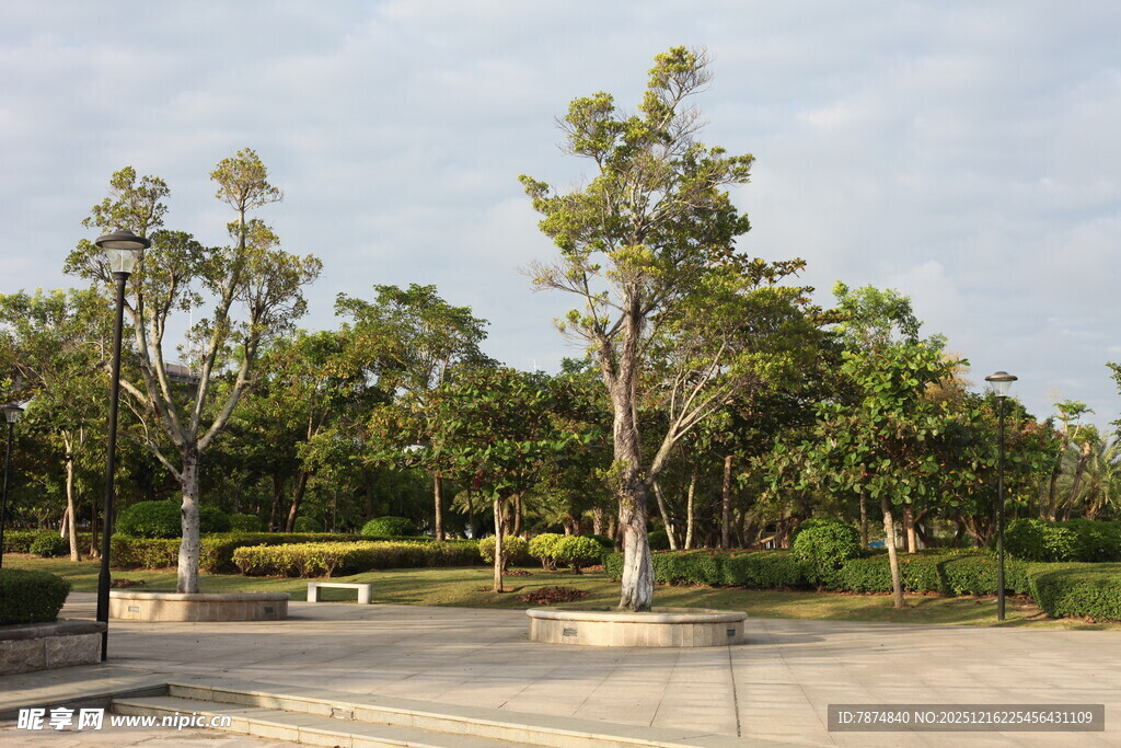 公园绿树环绕的开阔场地
