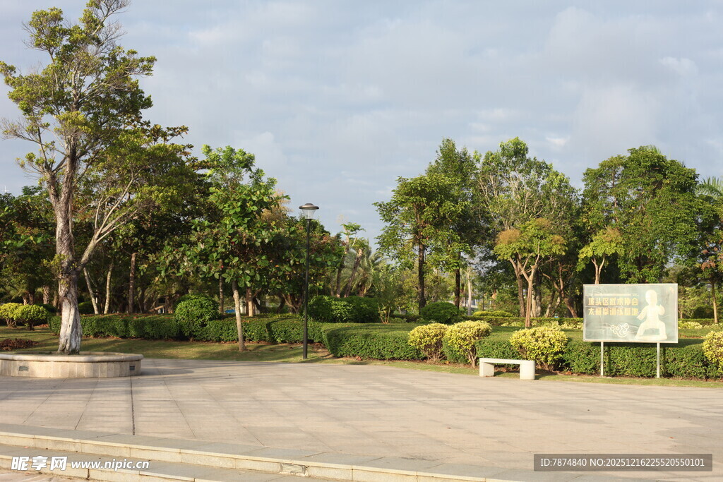 户外林荫停车场景观