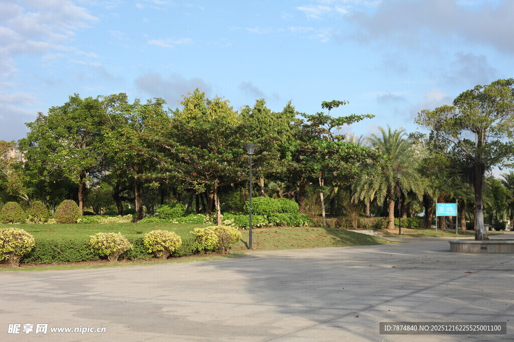 户外绿树环绕的开阔场地