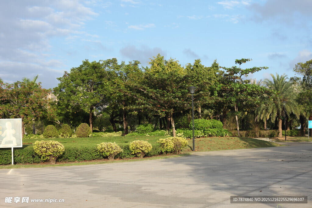 户外绿植环绕的开阔场地