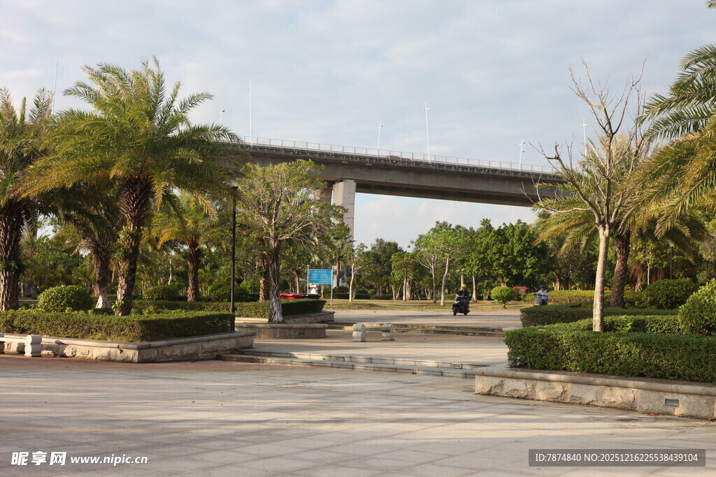 城市道路旁的绿植与高架桥