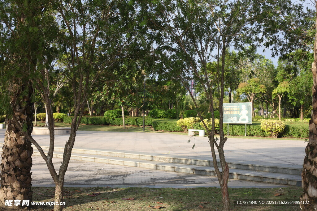 公园绿树环绕的开阔场地