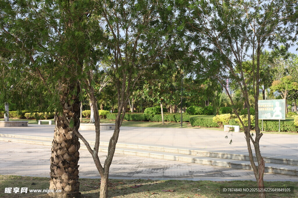 户外绿树环绕的开阔场地