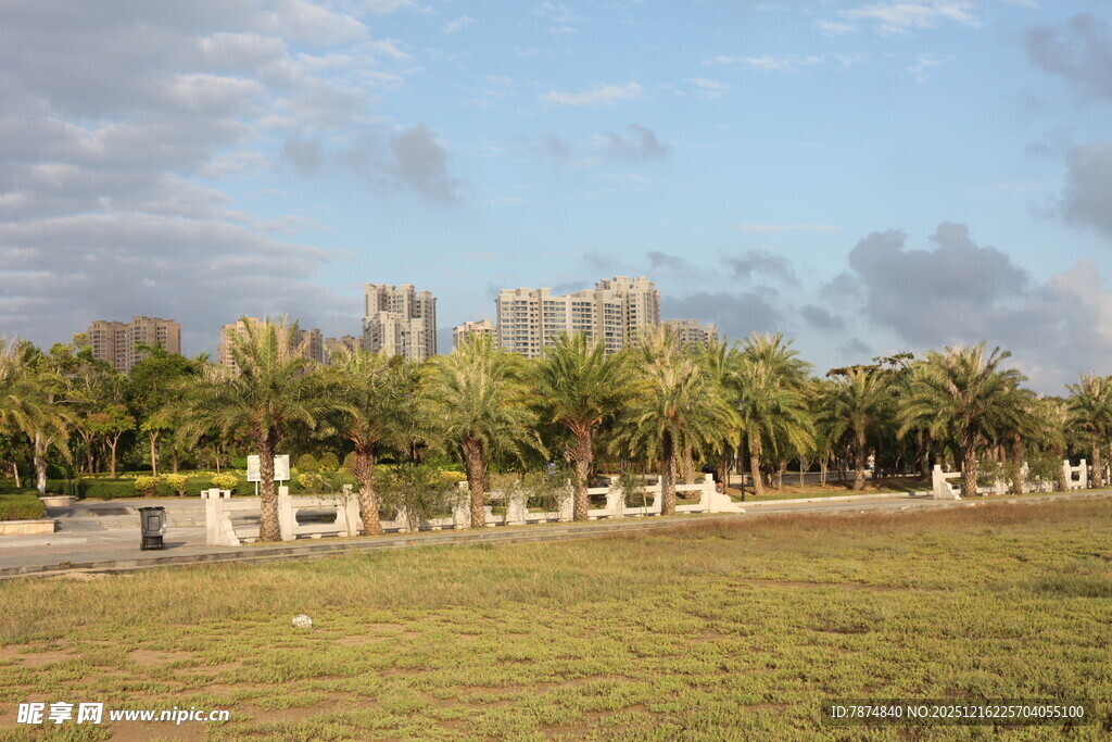 海滨草地与远处建筑景观