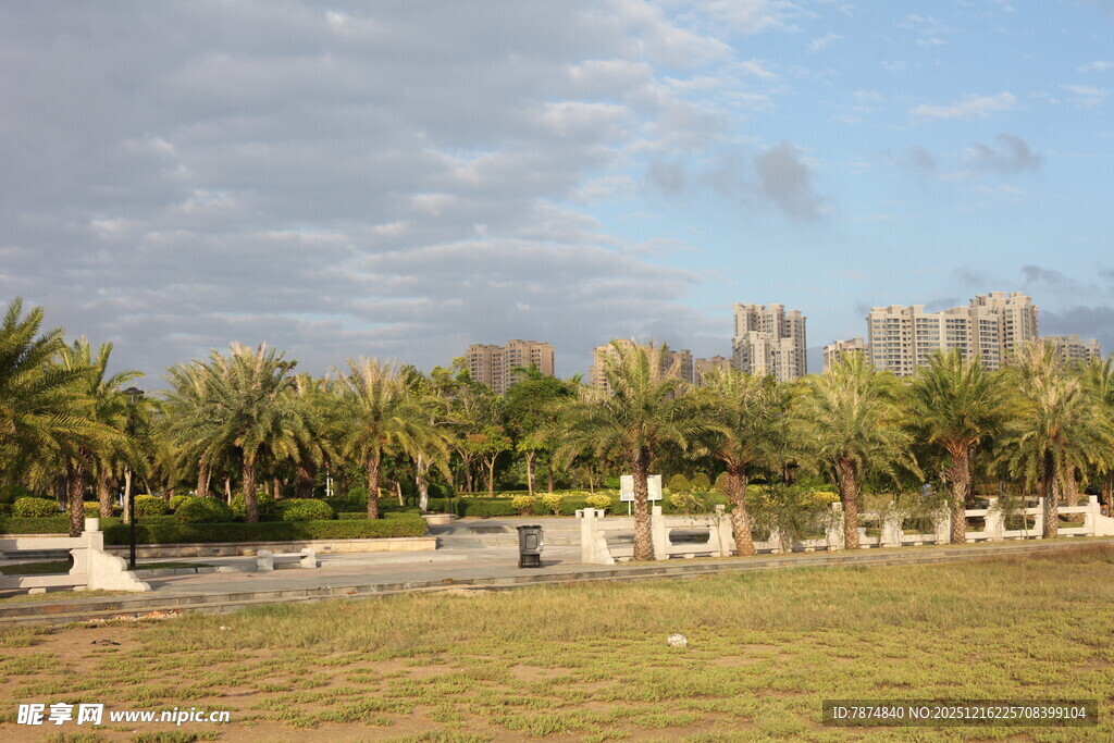 户外开阔绿地与树木景观