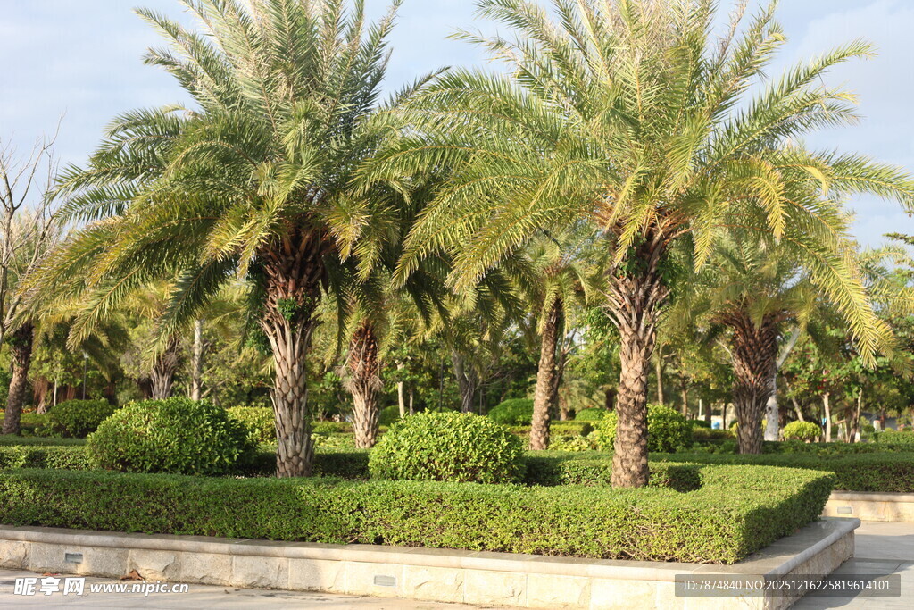 热带风情园林景观