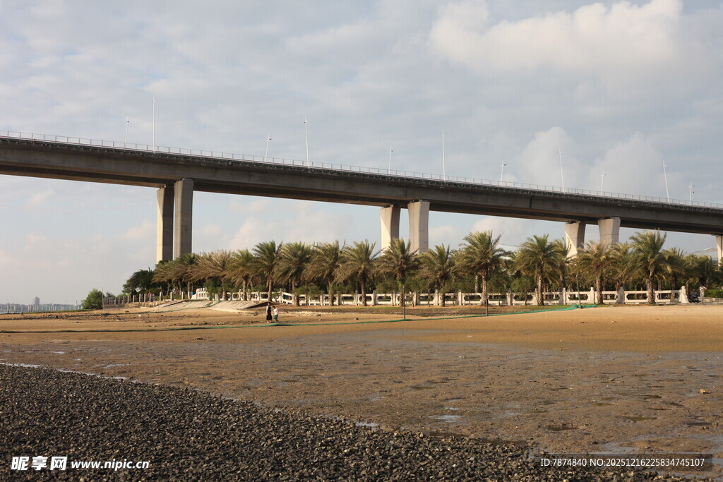 海滨高架桥风景