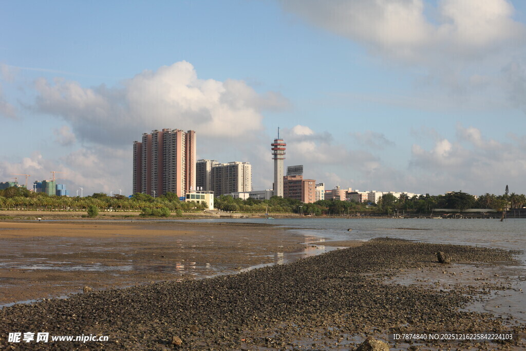 城市河畔的建筑景观