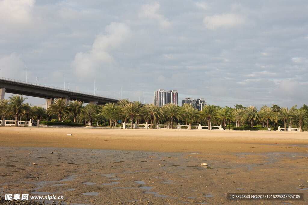 海滨风光下的桥梁与沙滩