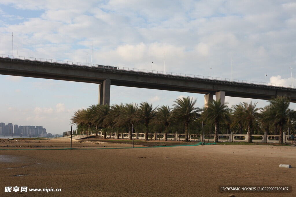海边高架桥与绿树景观
