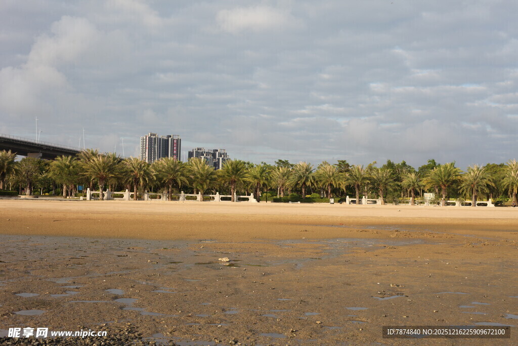 海滨沙滩风光