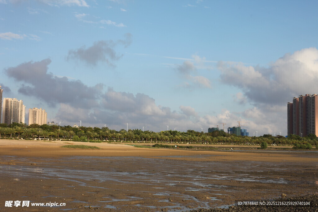 海滨城市风光