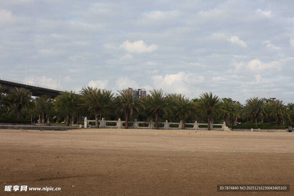 空旷场地旁的绿树成排
