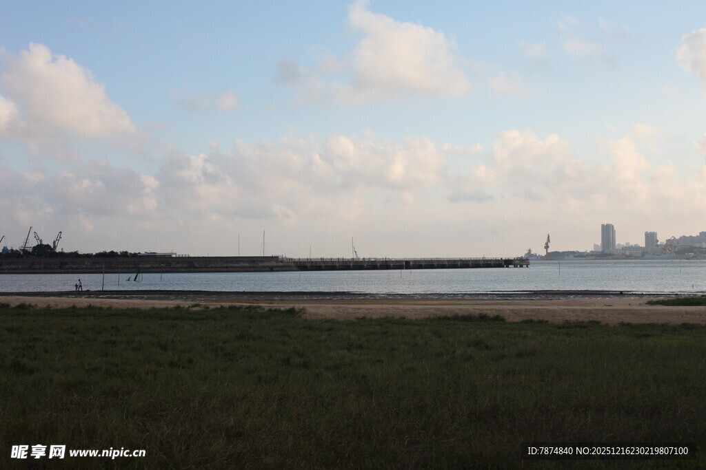 海滨风光天际线与草地