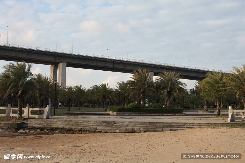 河畔高架桥风景