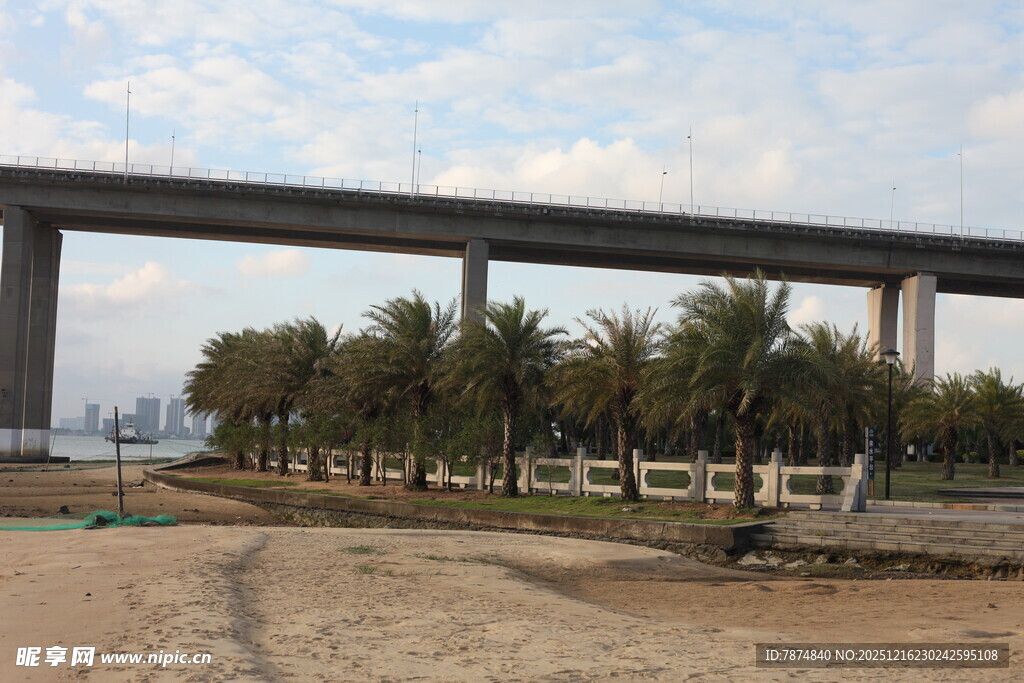 高架桥下的开阔户外场景