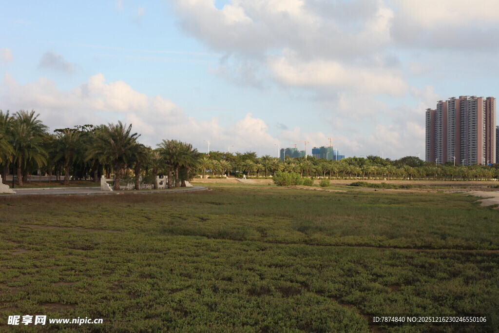城郊开阔草地与远处高楼