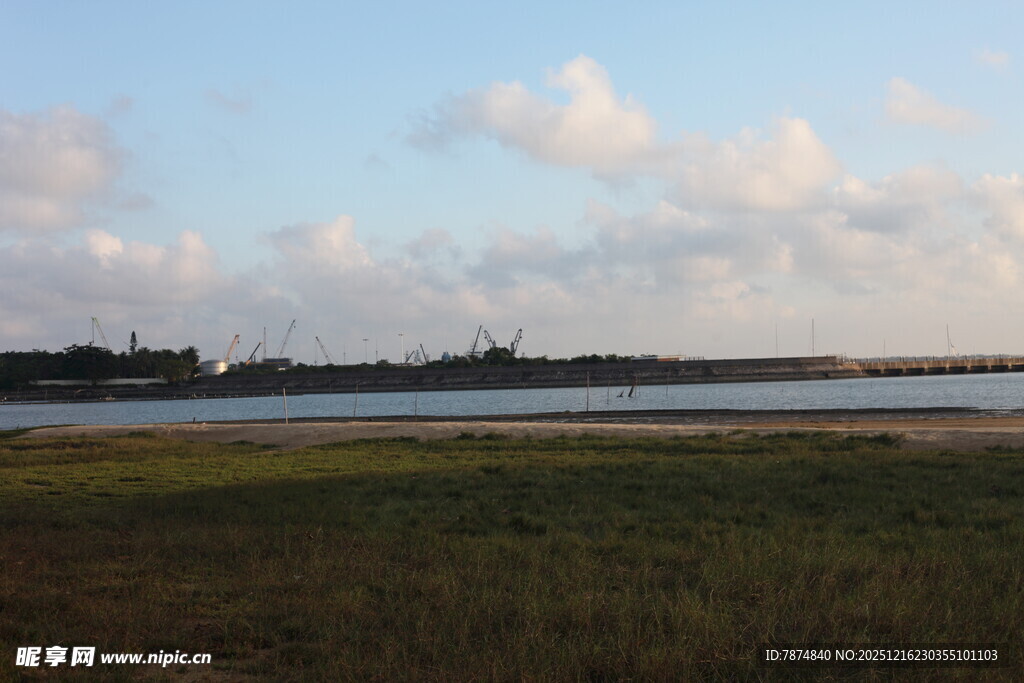 广阔原野上的蓝天与远树